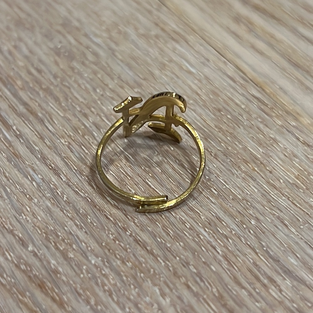 Adjustable Gold N Ring - Picture 2 of 2